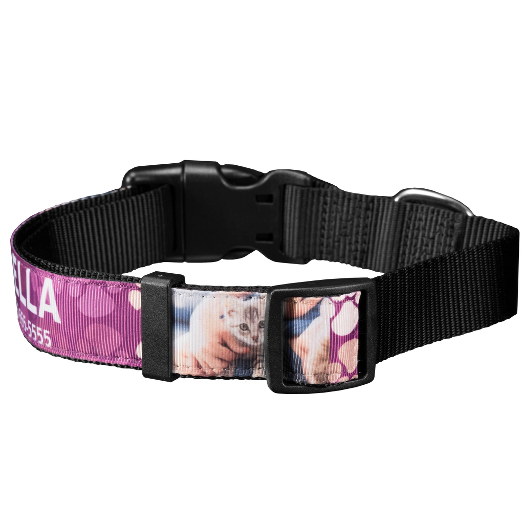 A purple Fuji Personalized Photo Products pet collar with a photo of a cat on it.