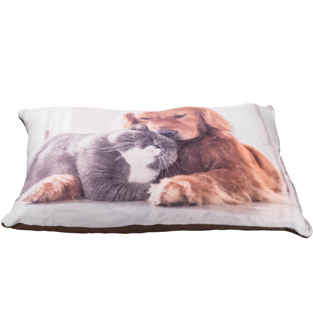 A photo of a dog and cat on a Fuji Personalized Photo Products pet bed.