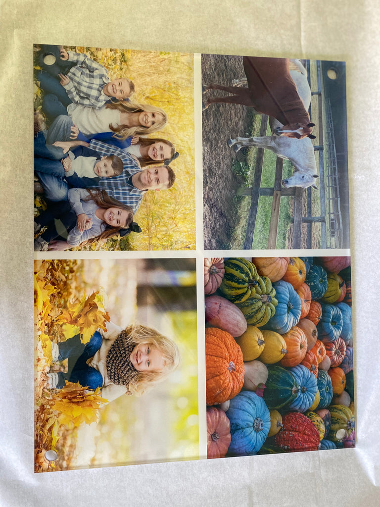 A collage of four PhotoBook Press Design Acrylic Photo Prints featuring a family portrait in autumn, a person jumping with a horse, a child lying in fallen leaves, and a variety of colorful pumpkins and gourds.