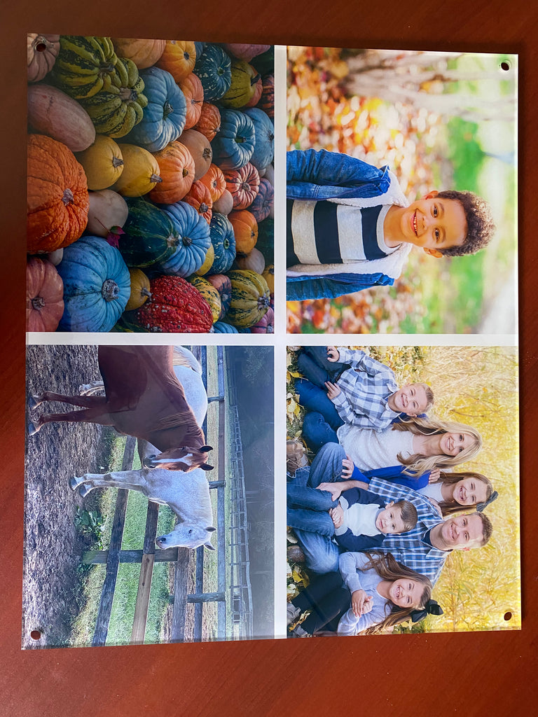 A collage of seasonal photos, printed on the highest quality materials by Photo Book Press: an array of colorful pumpkins, a child playing with leaves, a horse in a stable, and a family posing for an autumn portrait